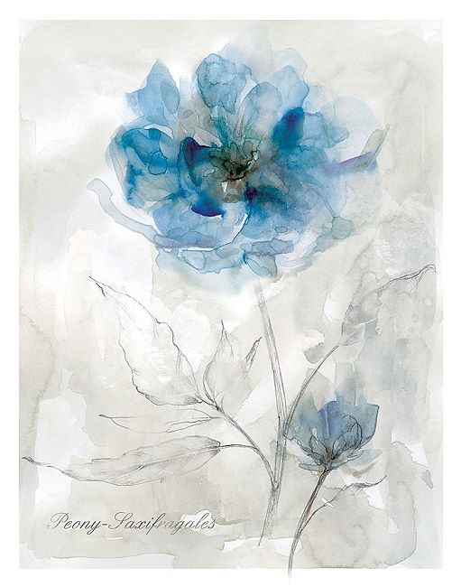 Carol Robinson Bleu Pivoine Civiere Image De L Ecran Fleurs Bleu Aquarelle Ebay